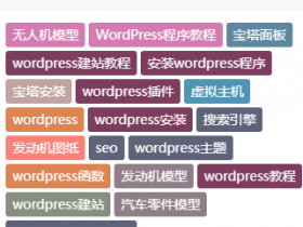 WordPress获取随机标签