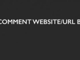 wordpress去掉留言中的网址字段