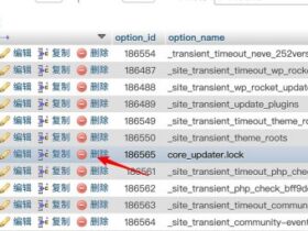 WordPress另一更新正在进行解决方法