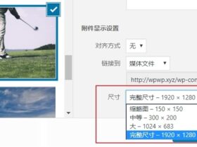 WordPress图片设置技巧