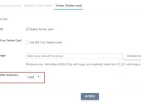 SEOPress设置Twitter分享大缩略图效果