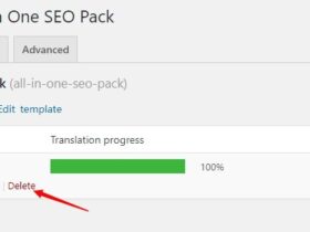 WordPress怎样删除特定主题或插件翻译