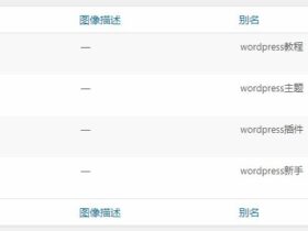 WordPress如何批量删除无用的标签