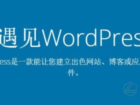 wordpress网站建站流程分享，新手必看